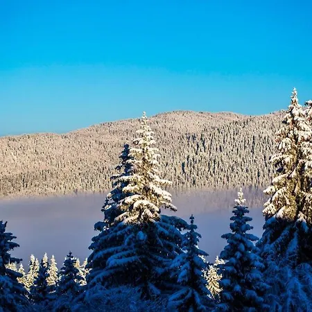 N.joy 417 By Sunny Hills * Pamporovo